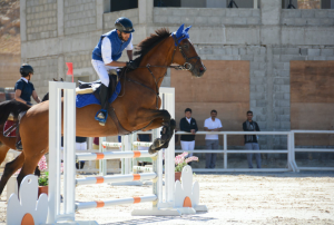a horse jumping over the fence